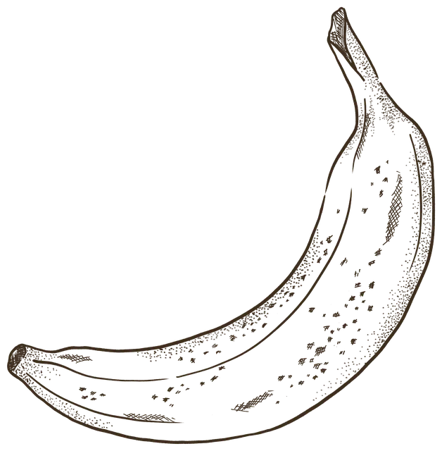 A ripe banana, lightly freckled, stippled in ink