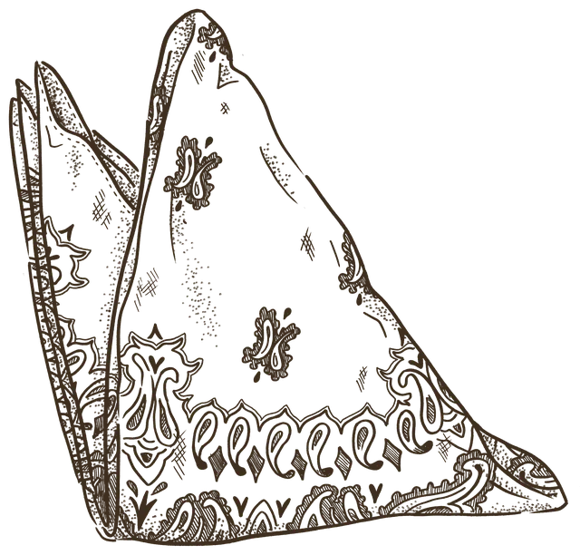A paisley bandana folded into a triangle